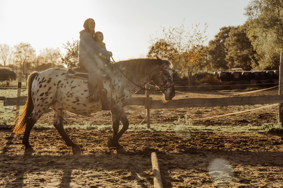Paardencoach Chloé Deridder