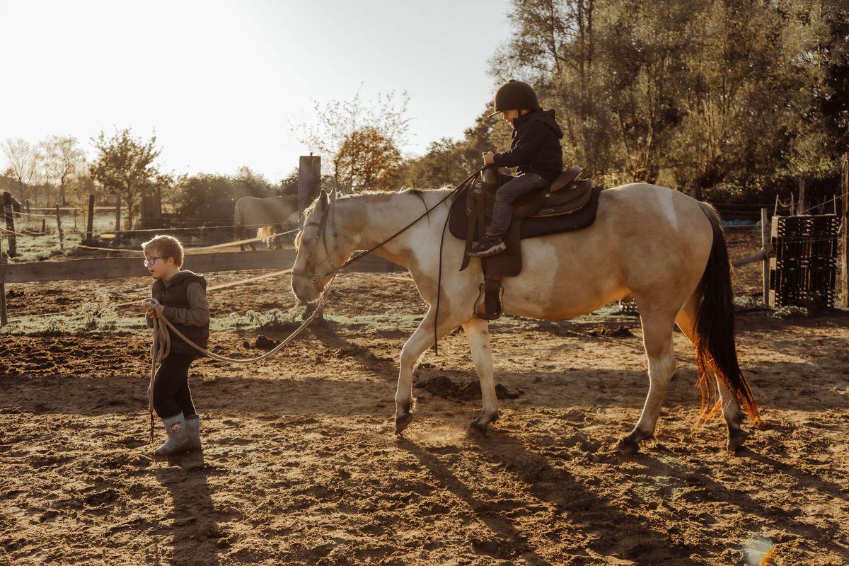 Paardencoach Chloé Deridder