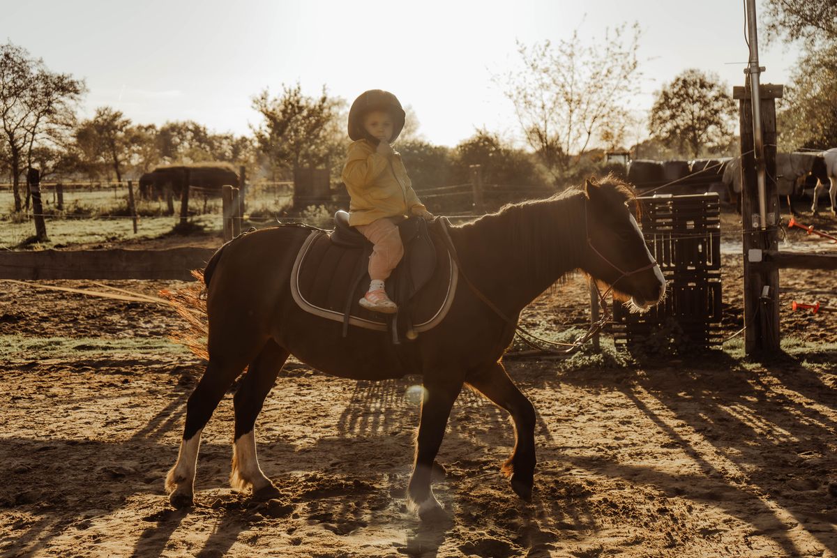 Paardencoach Chloé Deridder