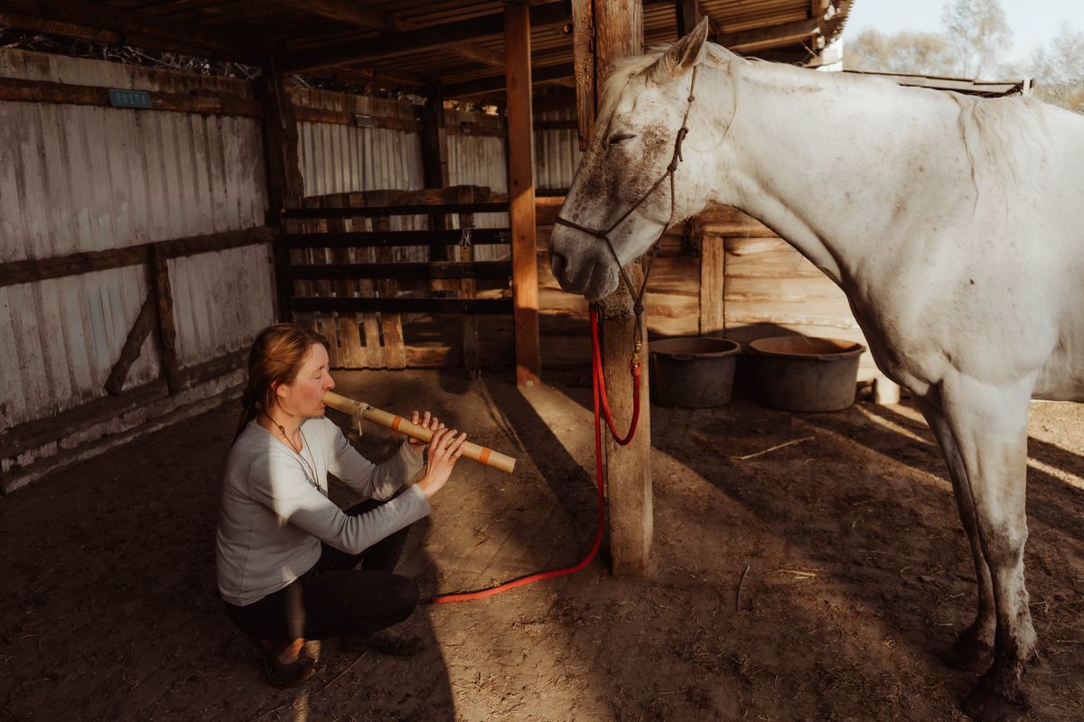 Paardencoach Chloé Deridder