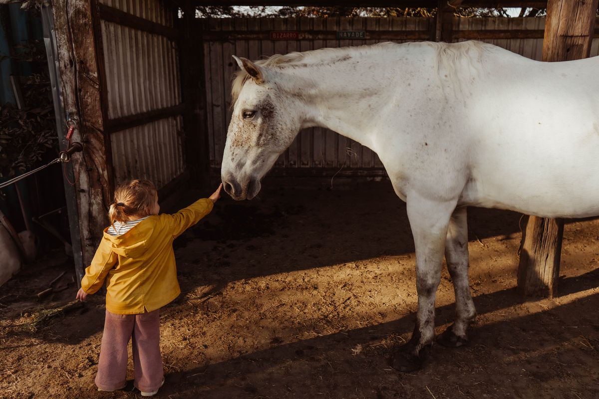 Paardencoach Chloé Deridder