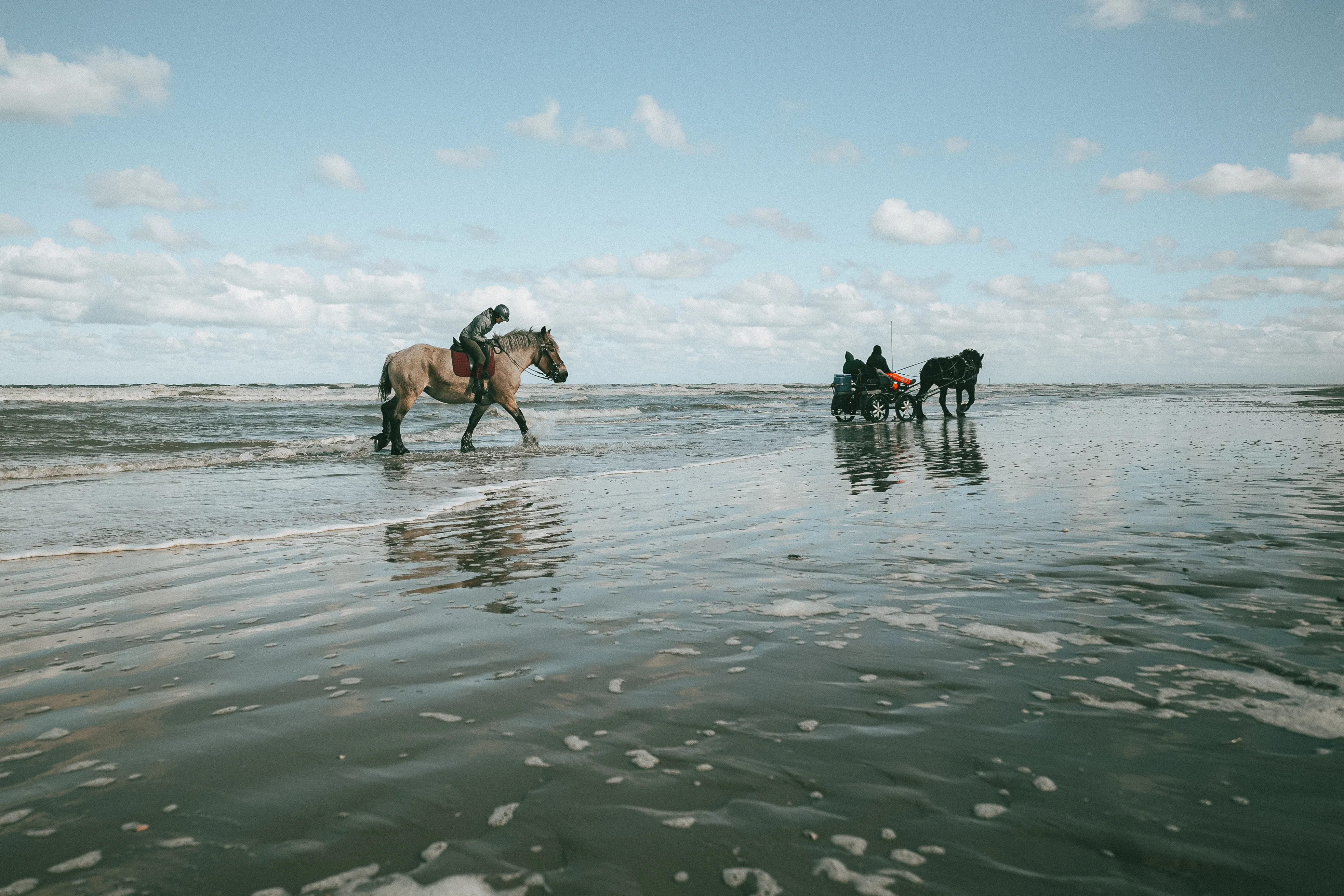 à la mer, un cheval blanc marche dans l'eau avec un cavalier sur le dos, un autre cheval noir tire une calèche avec deux personnes