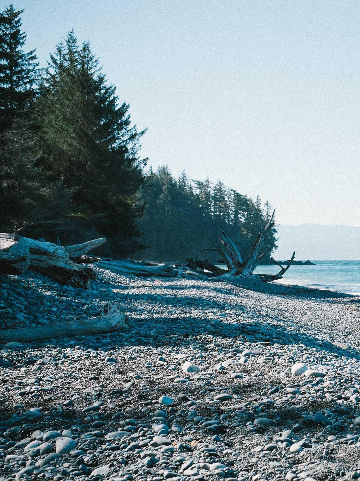 Rocky beach with driftwood, bordered by a forest on the left, and a calm blue sea under a clear sky on the right.