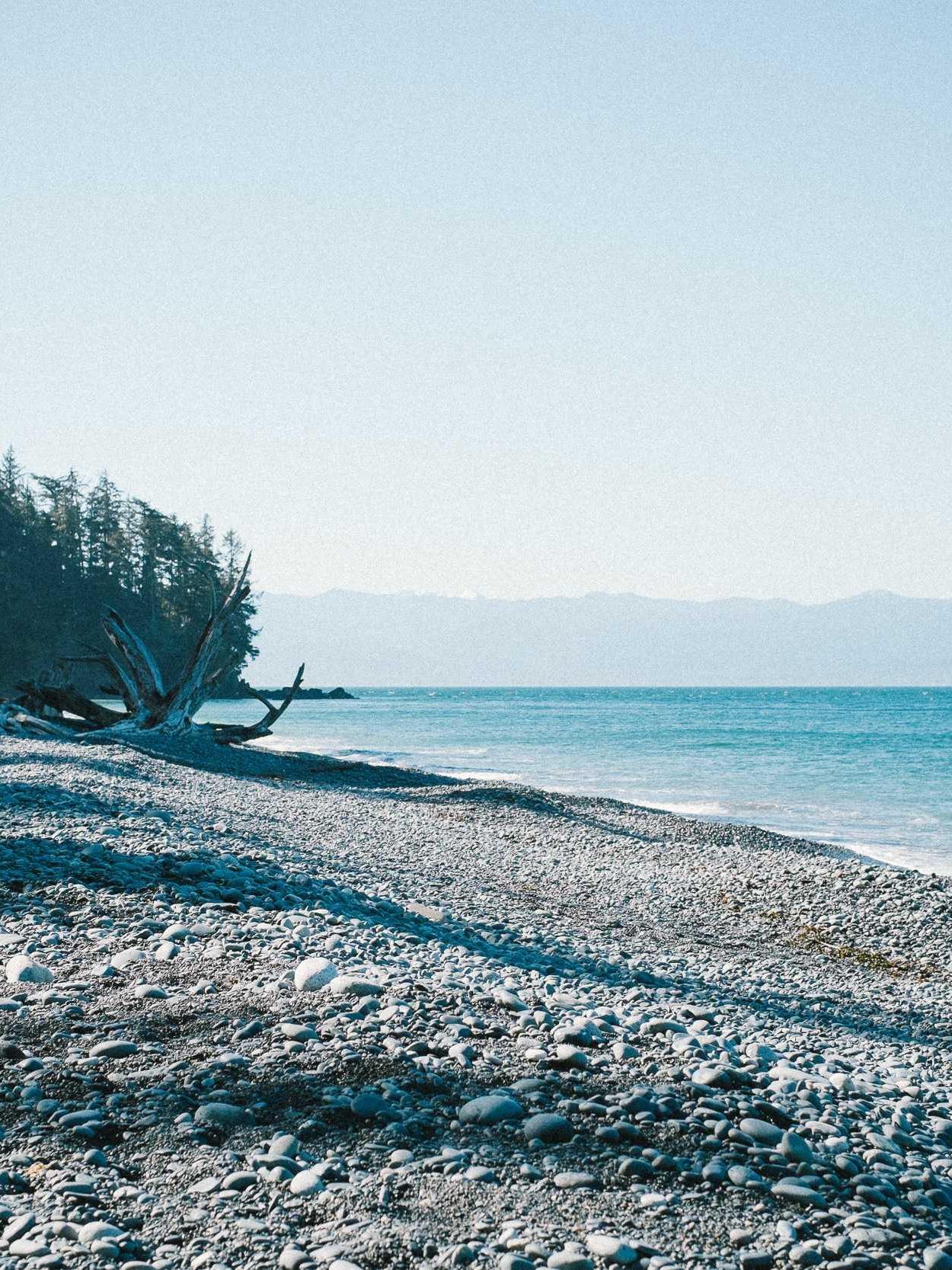 Rocky beach with driftwood, bordered by a forest on the left, and a calm blue sea under a clear sky on the right.