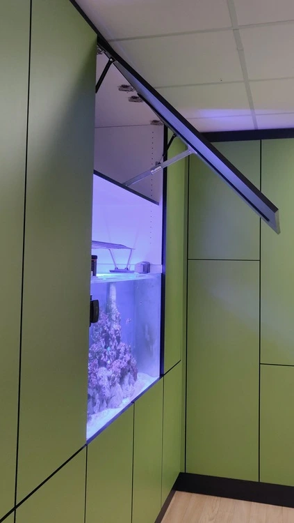 aquarium dans un bureau