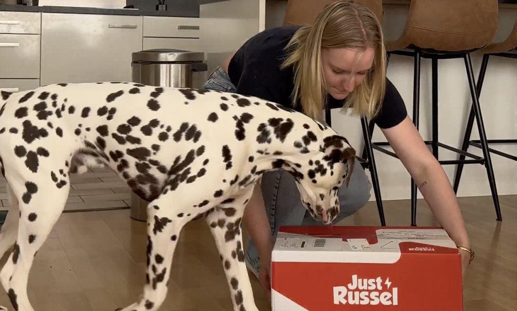 Just Russel case study