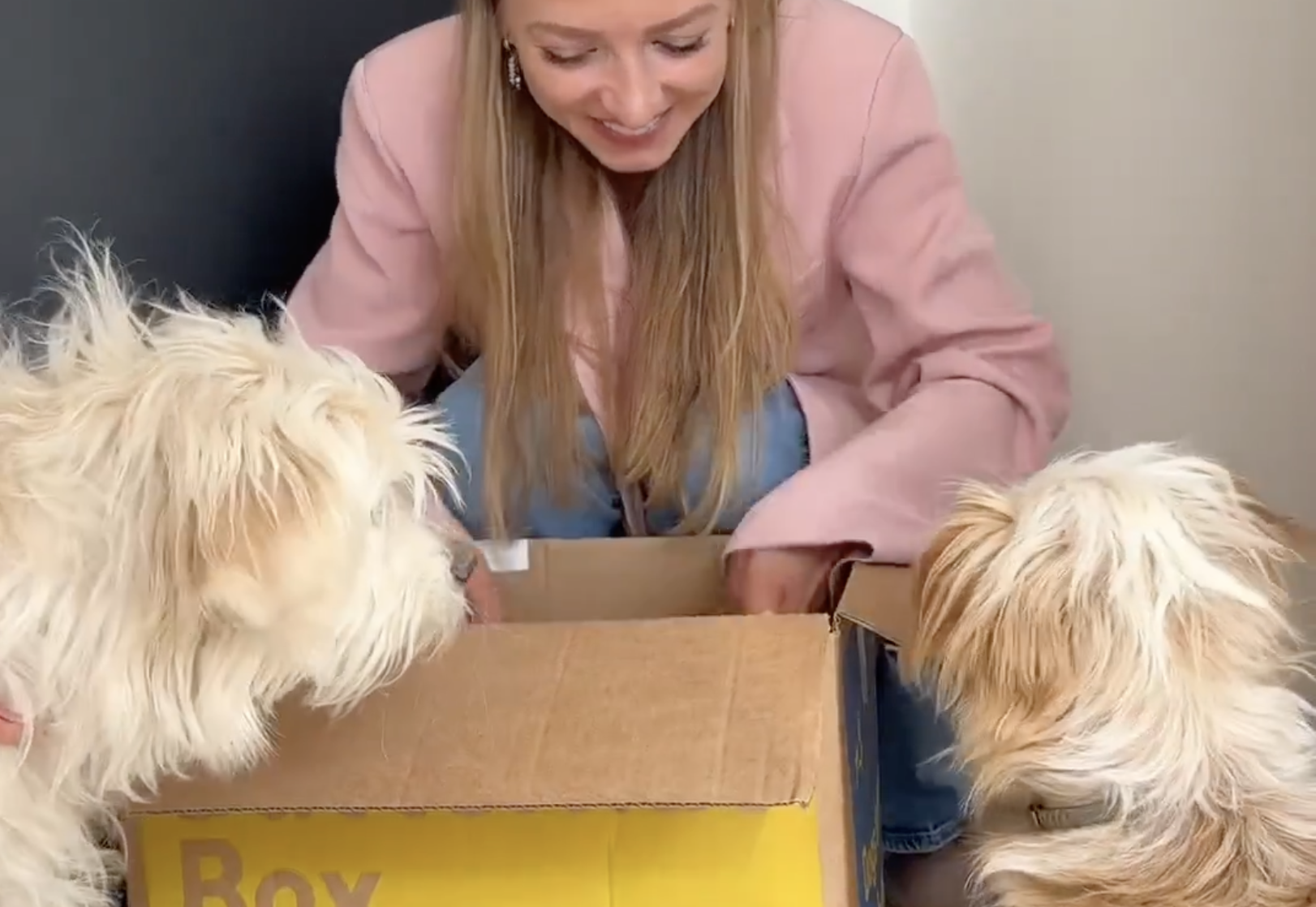 Butternut Box case study