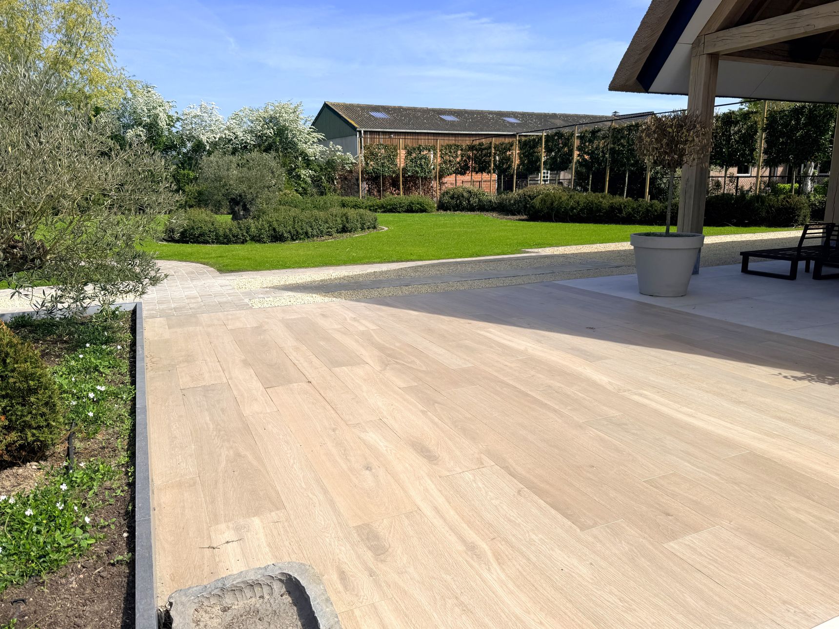 Houtlook terras met olijfboompje in pot, aangrenzend grasperk en zicht op een landelijke schuur.