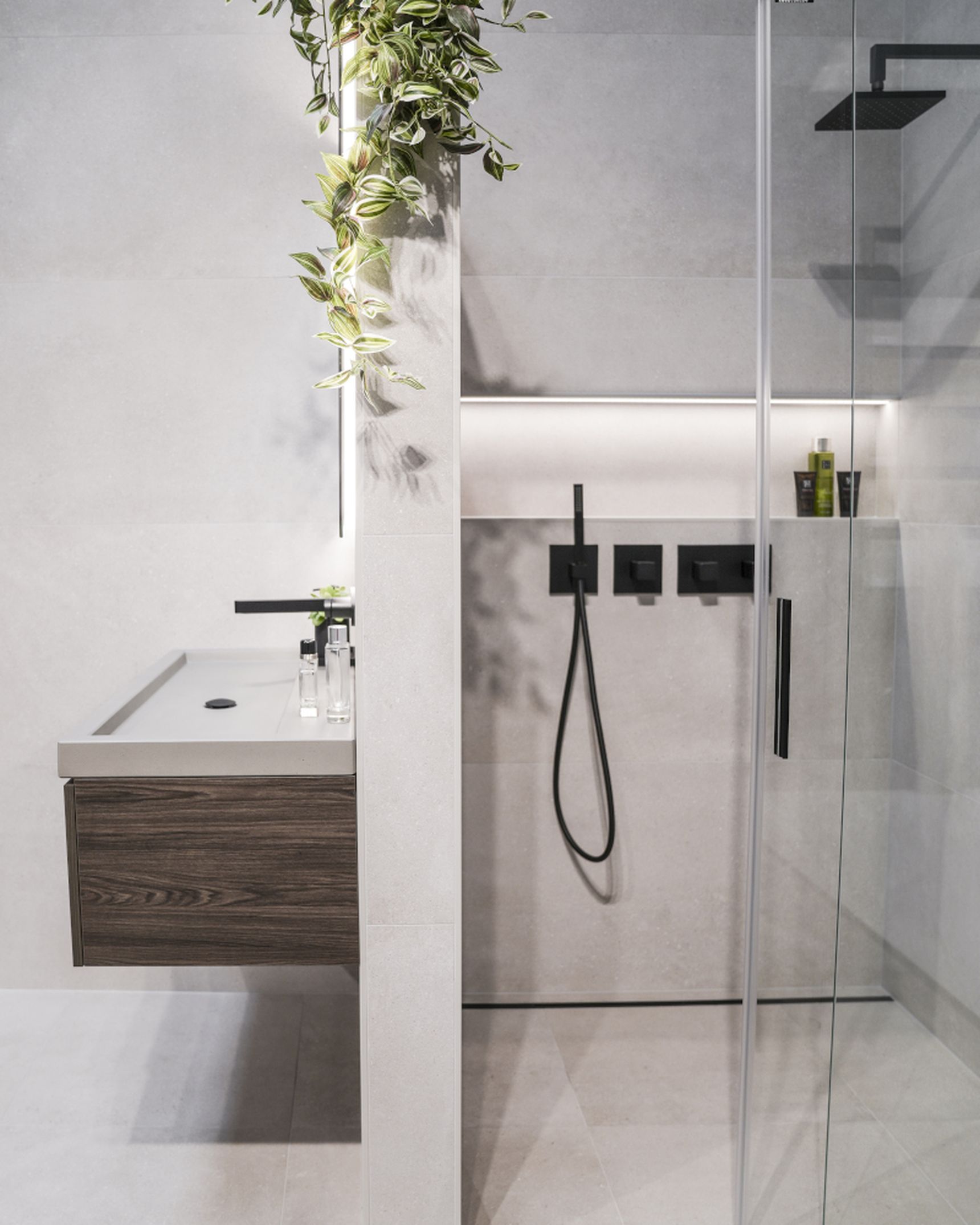 Modern bathroom with glass shower, black fixtures, and a wall-mounted sink. A leafy plant hangs from the partition wall.
