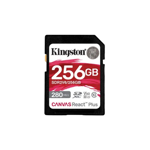256GB Canvas React Plus SDXC