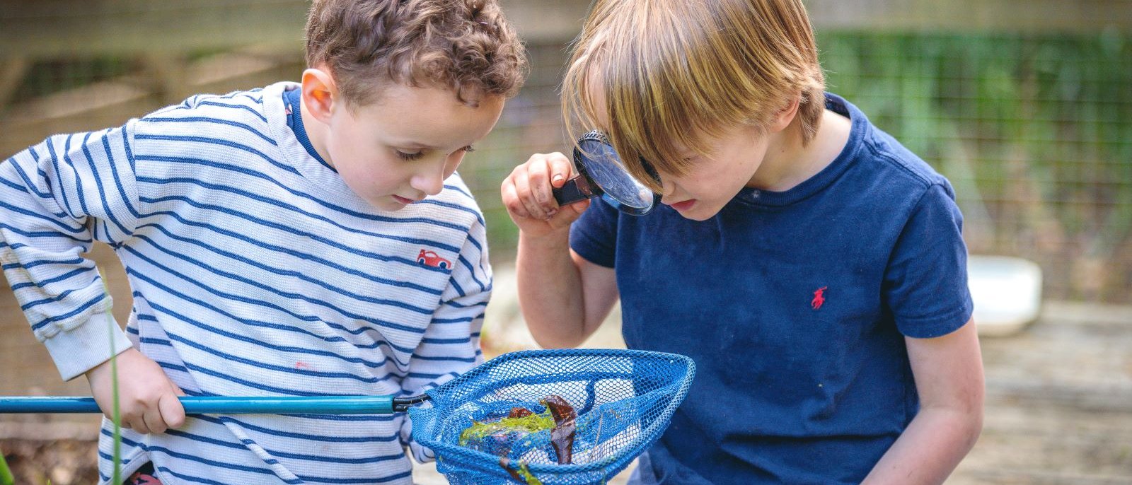 Enquiry-based learning 