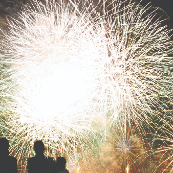 Bedales Fireworks