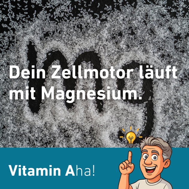 https://a.storyblok.com/f/333189/1080x1350/cacf3145e4/dein-zellmotor-lauft-mit-magnesium.png