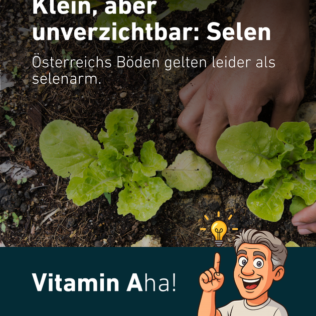 https://a.storyblok.com/f/333189/1080x1350/d5bf533e71/klein-aber-unverzichtbar-selen.png