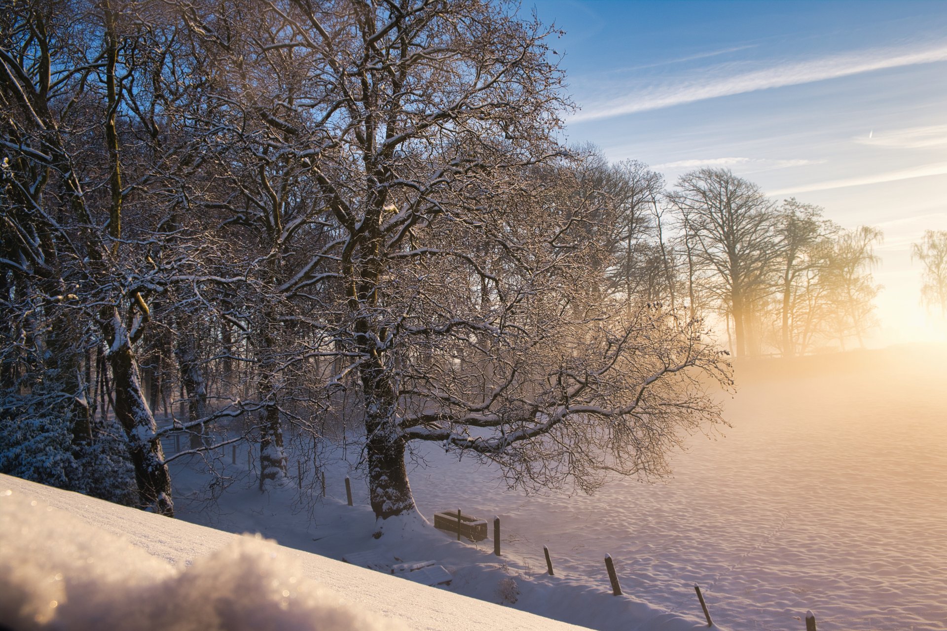 Besneeuwd winterlandschap