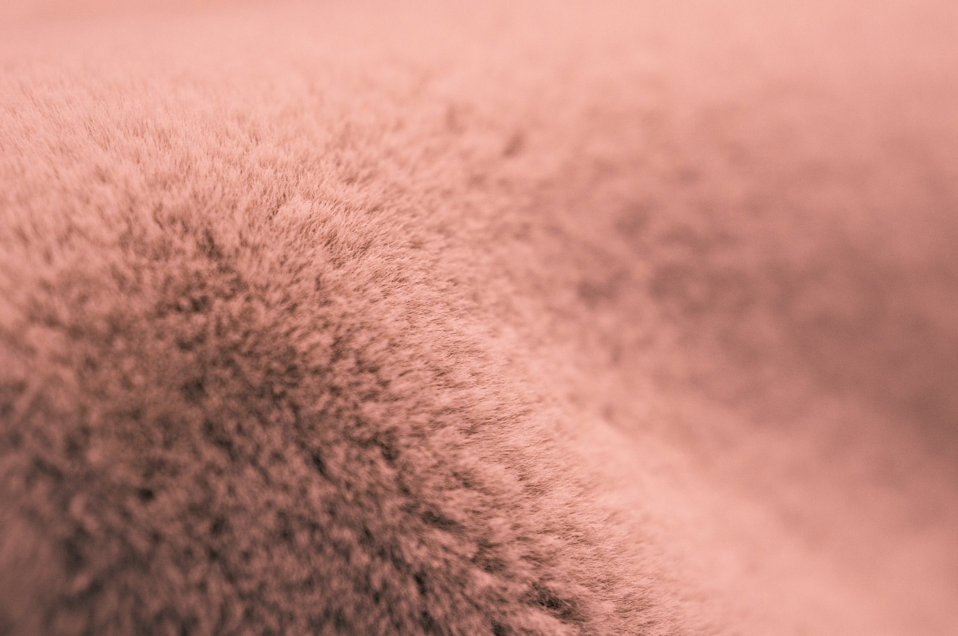 Hoe onderscheid je bont van imitatiebont?