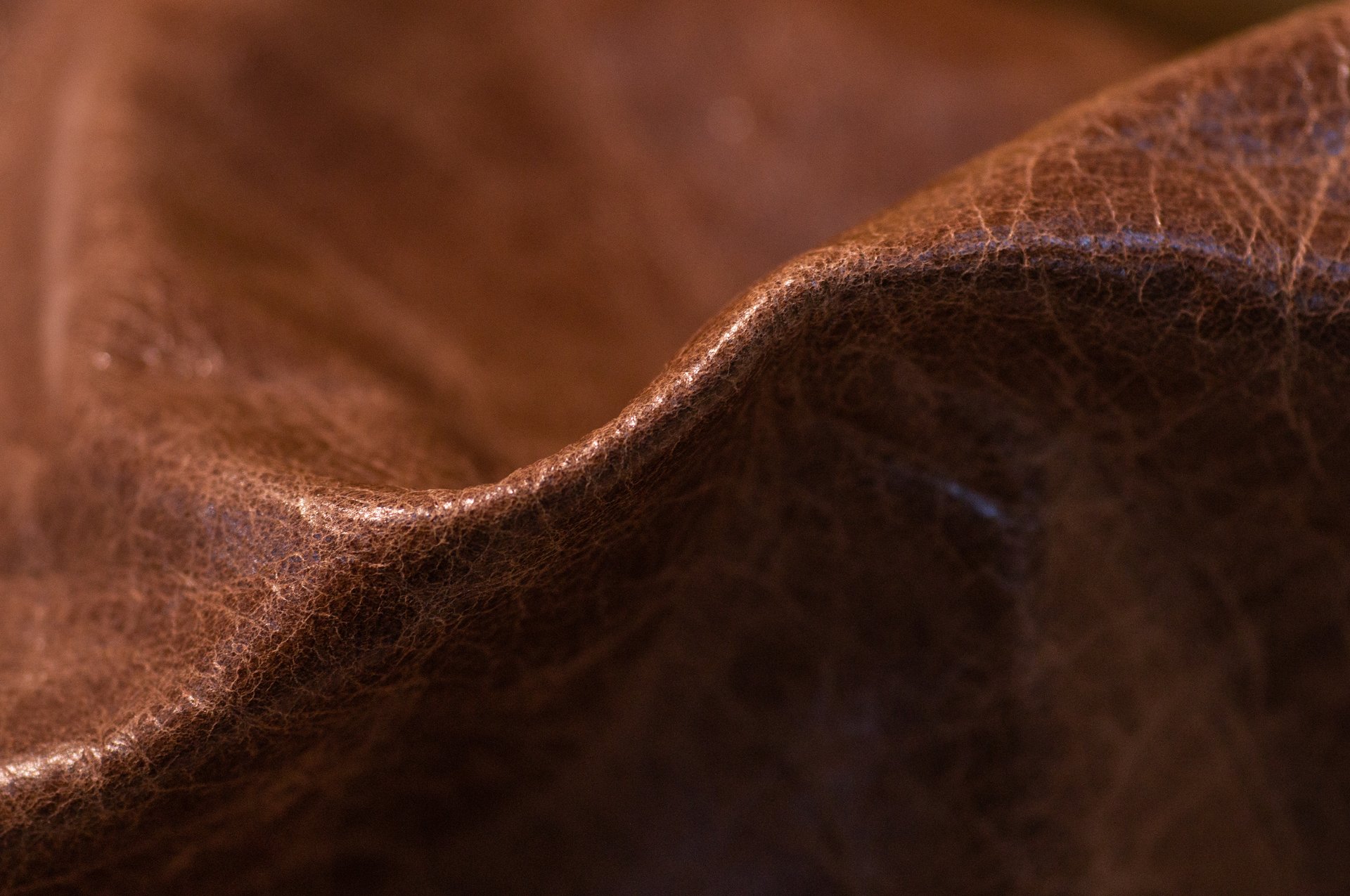 6 Tips om je leren jas mooi te houden