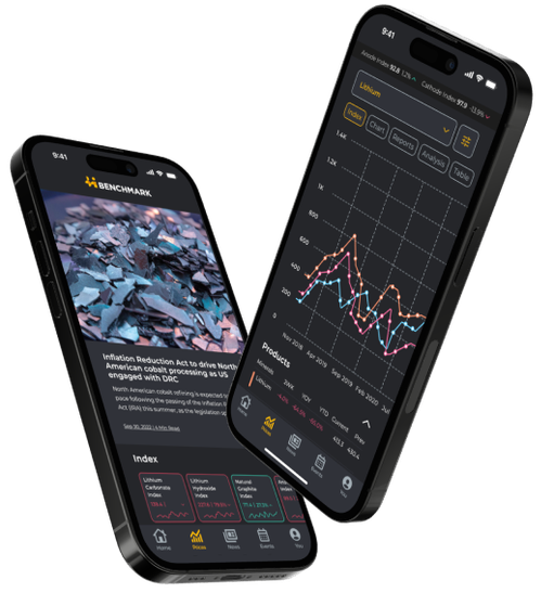 Screenshot of the mobile application interface