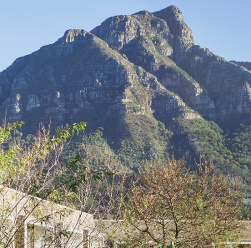 Vineyard Hotel