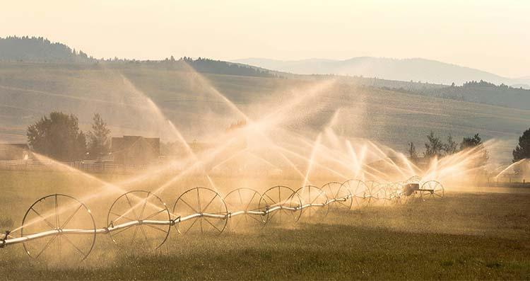 l inclut des actions préventives et des mesures de contrôle et de correction.