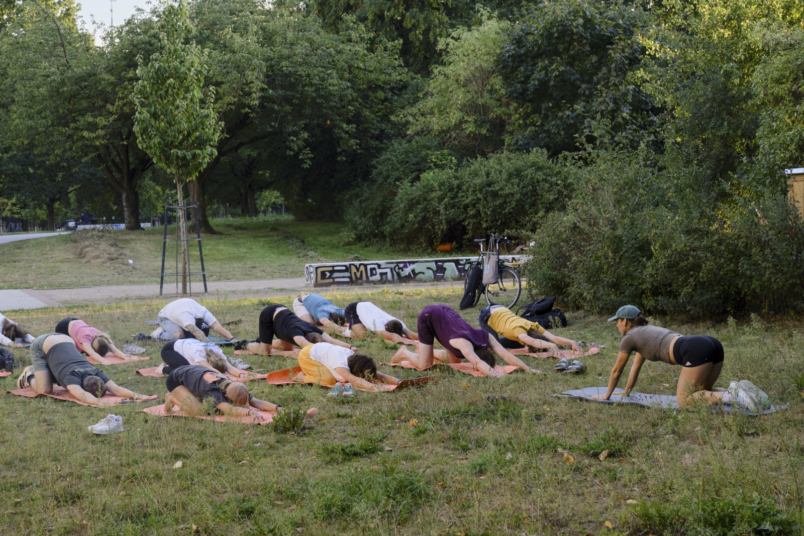 A group of people practicing yoga outdoors in a grassy park, stretched in a child's pose with yoga mats on the ground, surrounded by trees.