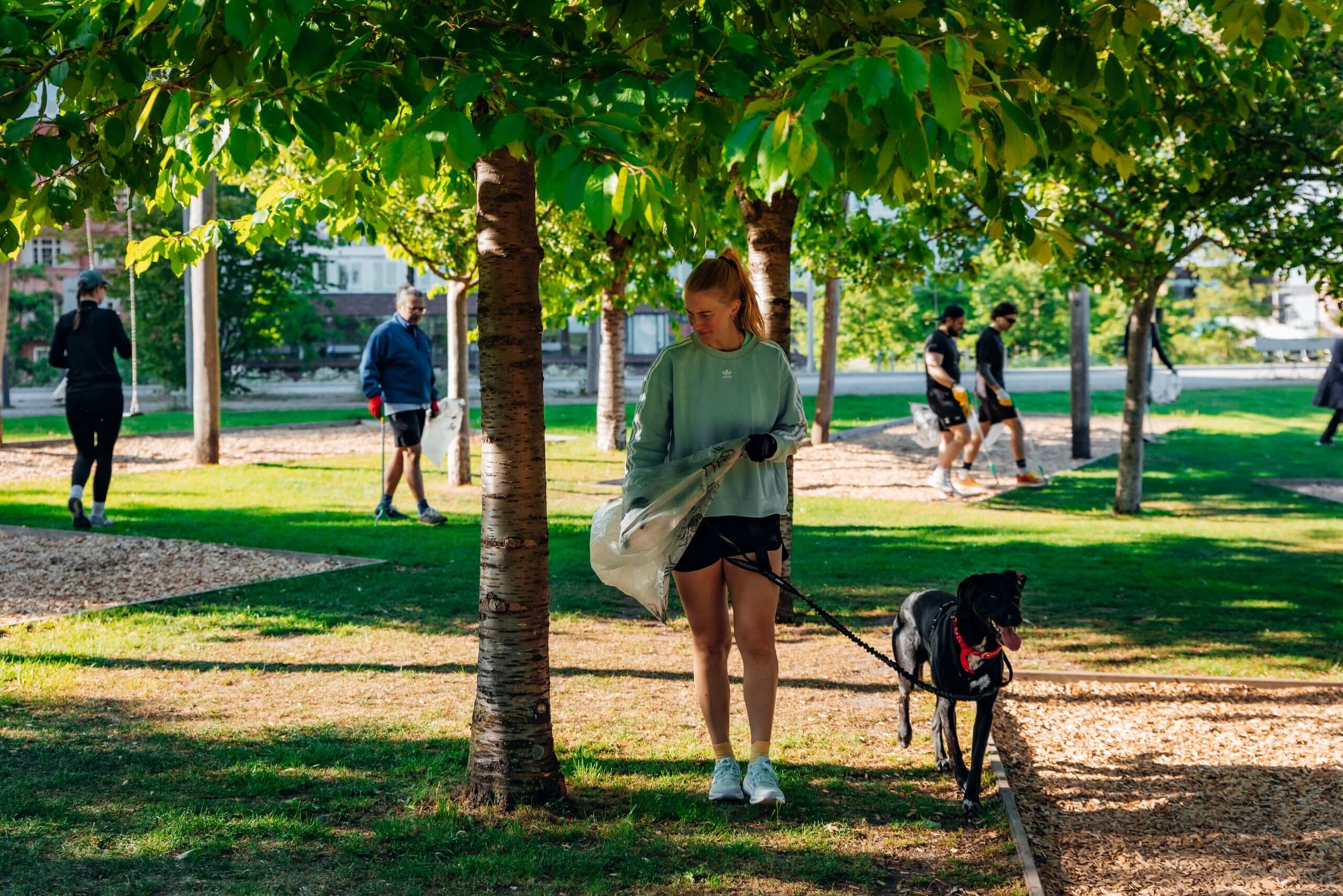 A woman walks her dog and picks up trash in a park with other people cleaning up in the background on a sunny day.