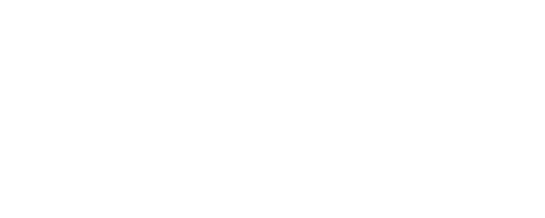 Roots & Bridges