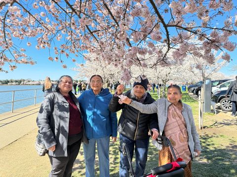 Four Jupiter participants gather under the branches of a blooming cherry tree on an outing.