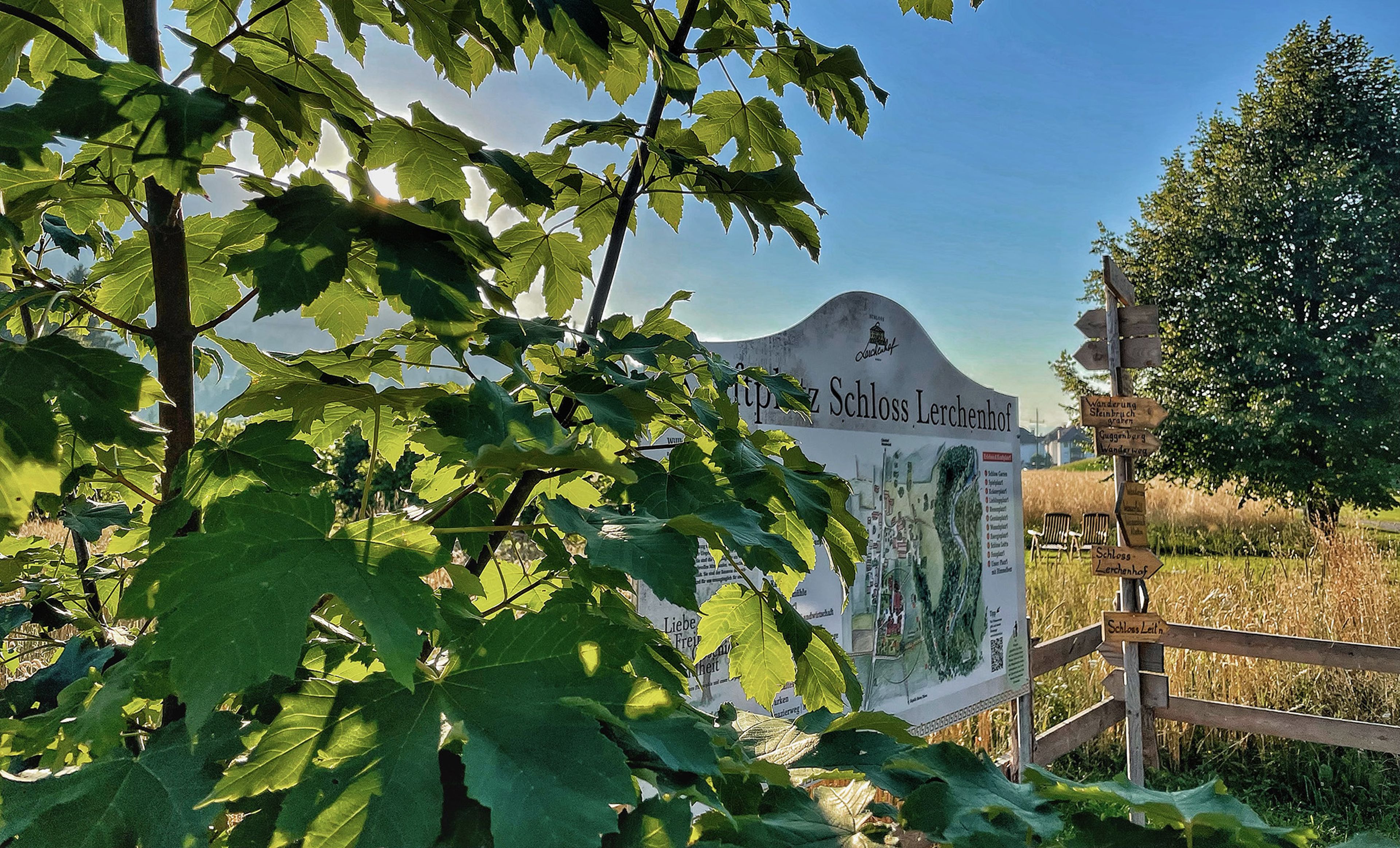 Sonnenbeschienene Blätter verdecken teilweise das Schild "Kraftplatz Schloss Lerchenhof" mit einer Karte vor einer Kulisse aus Bäumen und einem Feld unter einem klaren blauen Himmel.