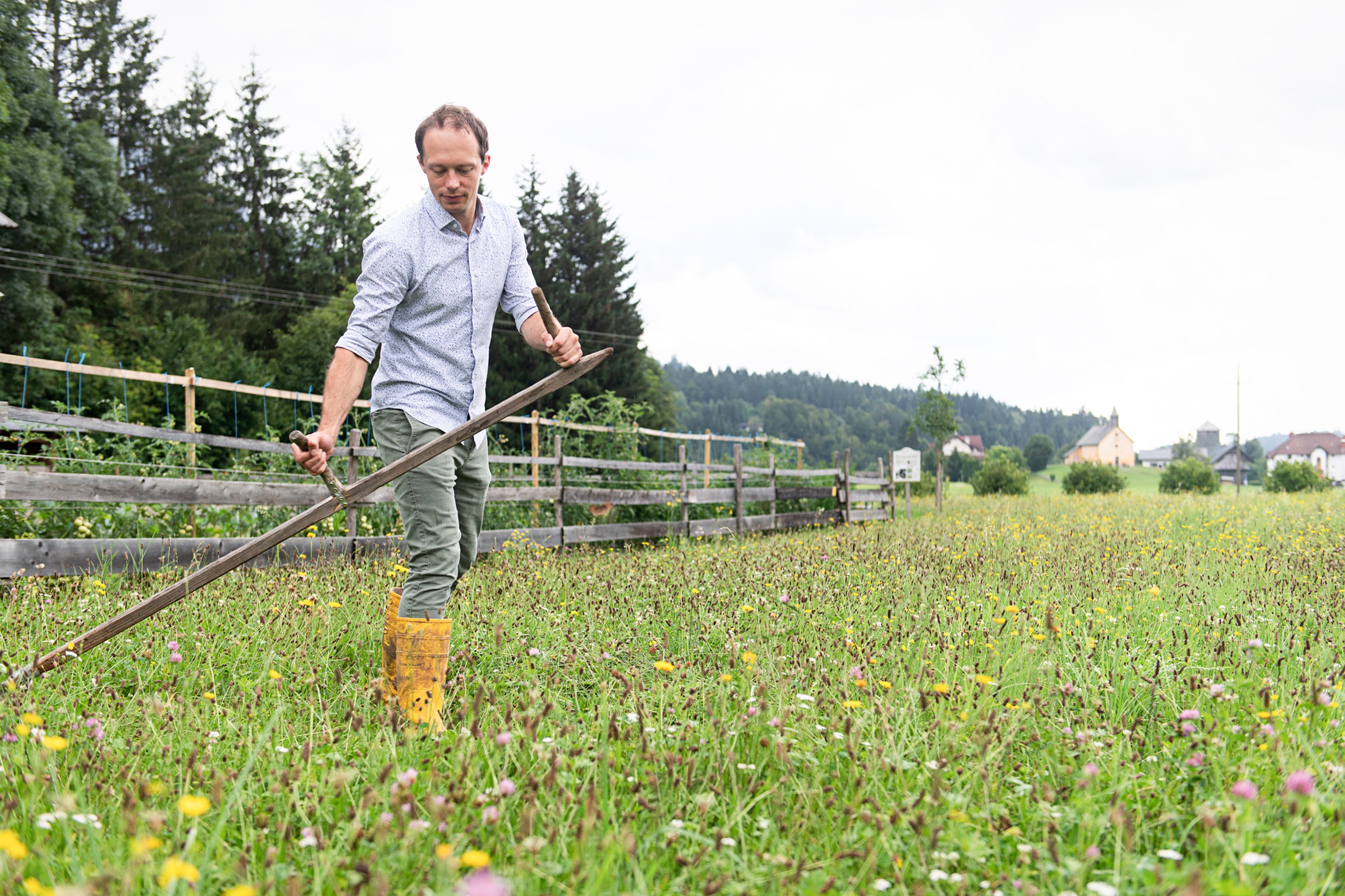 Johann Steinwender auf dem Feld schneidet mit einer Sense das Gras mit Blumen und Kräutern. Im Hintergrund sind Bäume zu sehen.