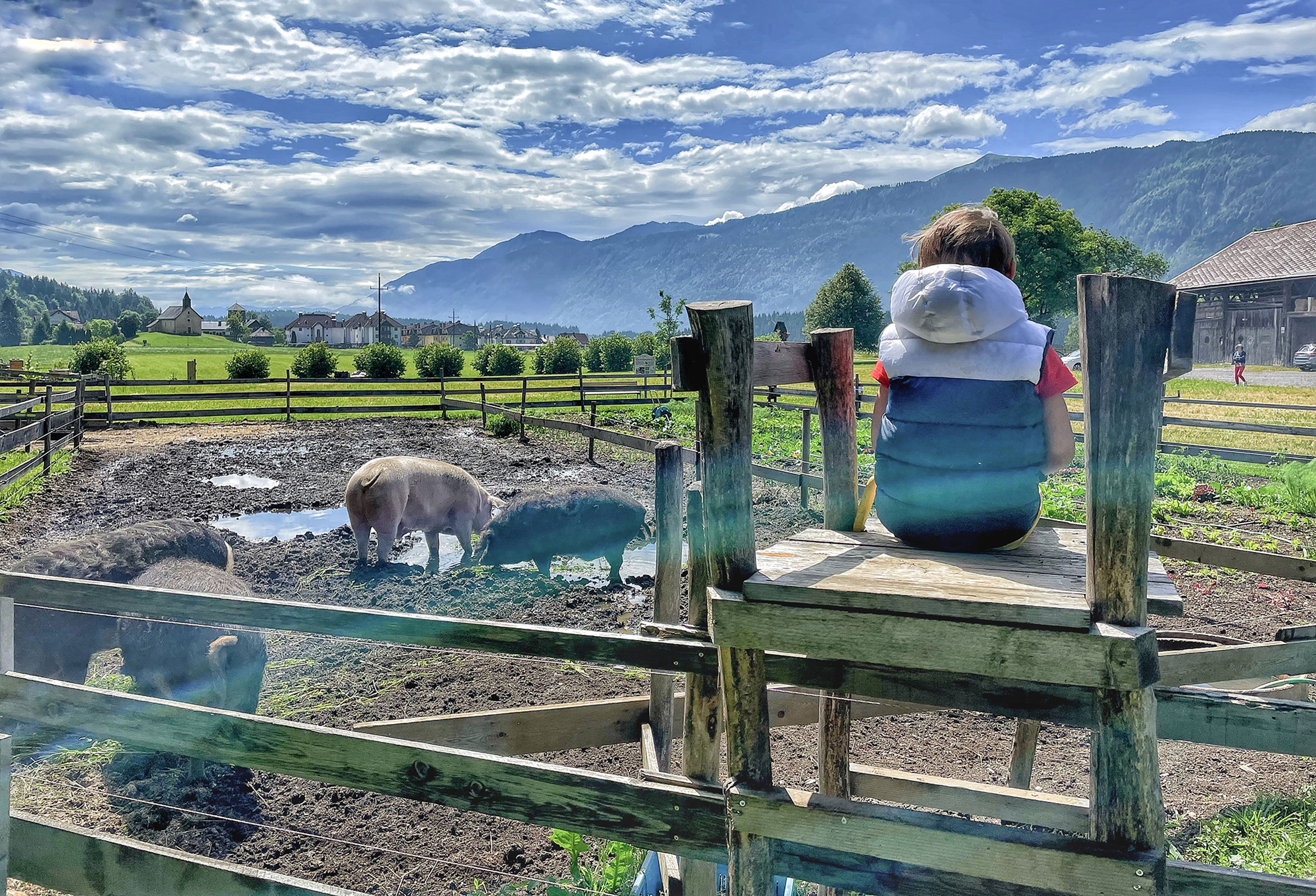 Ein Kind im gestreiften Hemd sitzt auf einer Holzplattform und beobachtet Schweine in einem eingezäunten Bereich mit Bergen und einem bewölkten Himmel im Hintergrund.