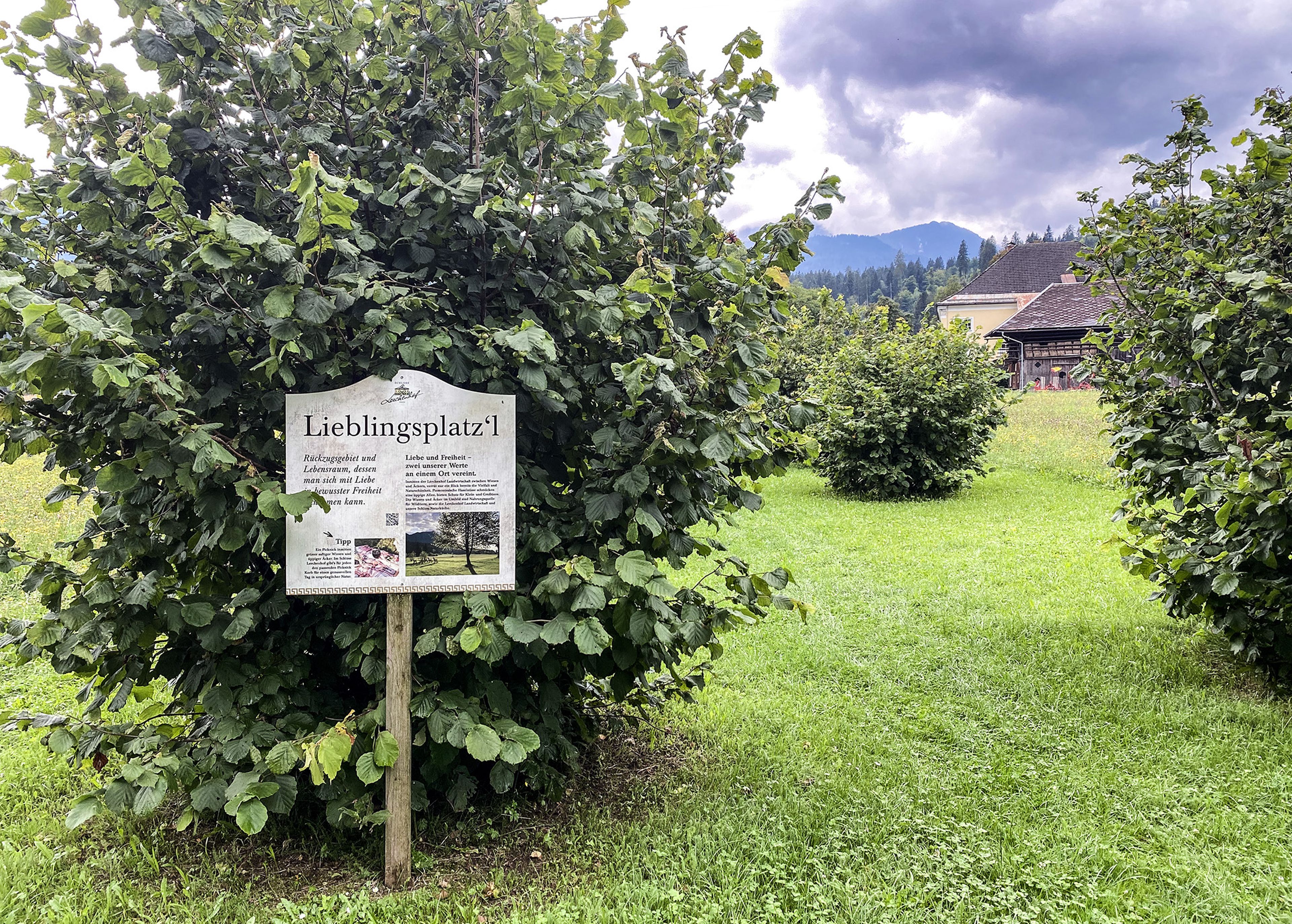 Ein Schild mit der Aufschrift „Lieblingsplatz’l“ steht inmitten üppigen Grüns, vor der Kulisse von Bergen und einem bewölkten Himmel.