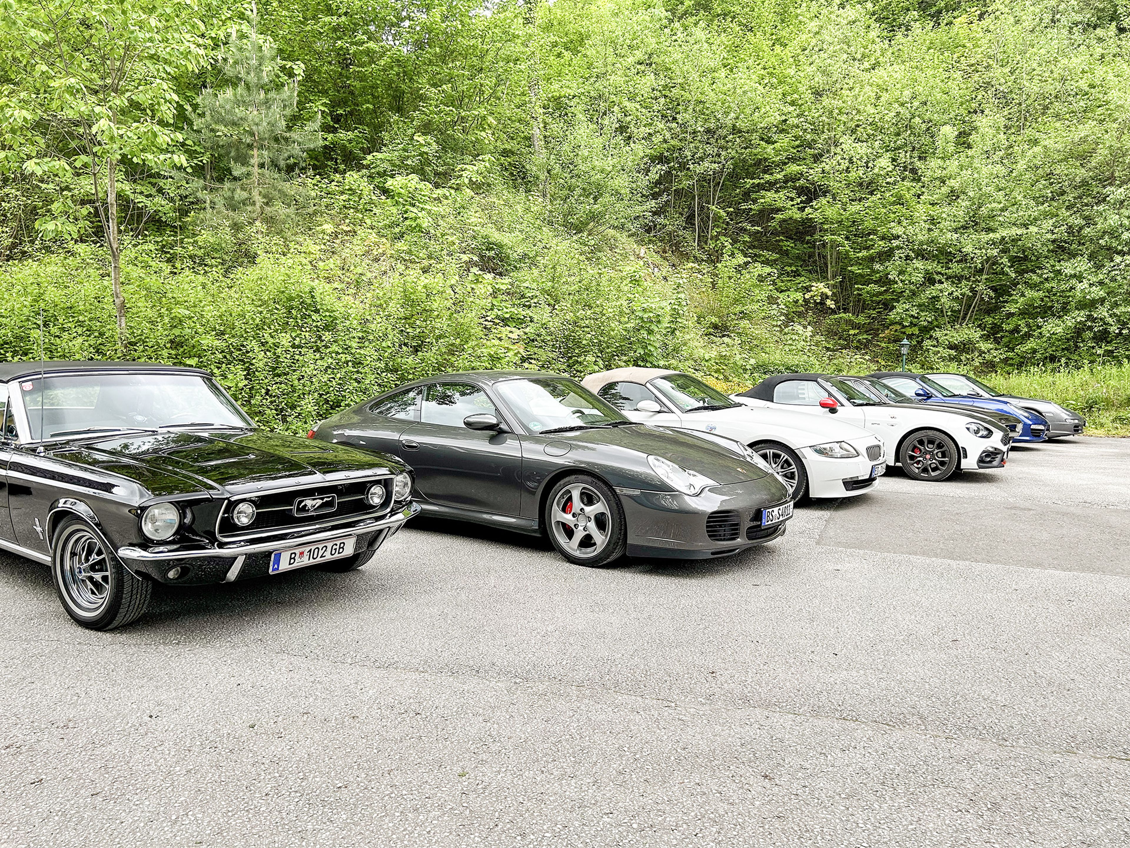 Eine Reihe klassischer und moderner Autos, darunter ein schwarzer Mustang und ein silberner Porsche, parken auf einer Straße neben üppigem Grün.
