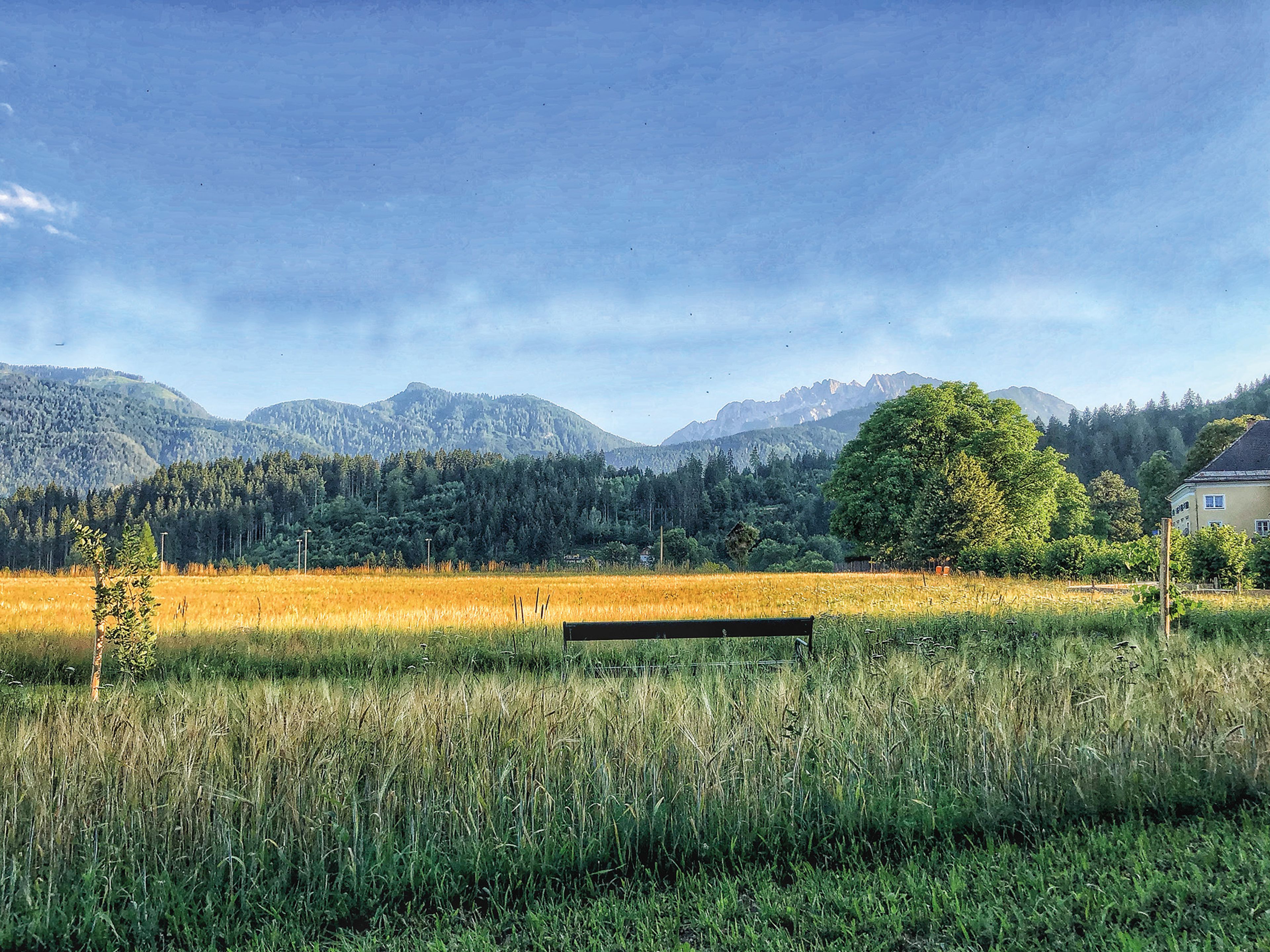 Eine ruhige Landschaft mit einer grünen Wiese, einer Holzbank, Bergen in der Ferne und einem klaren blauen Himmel.