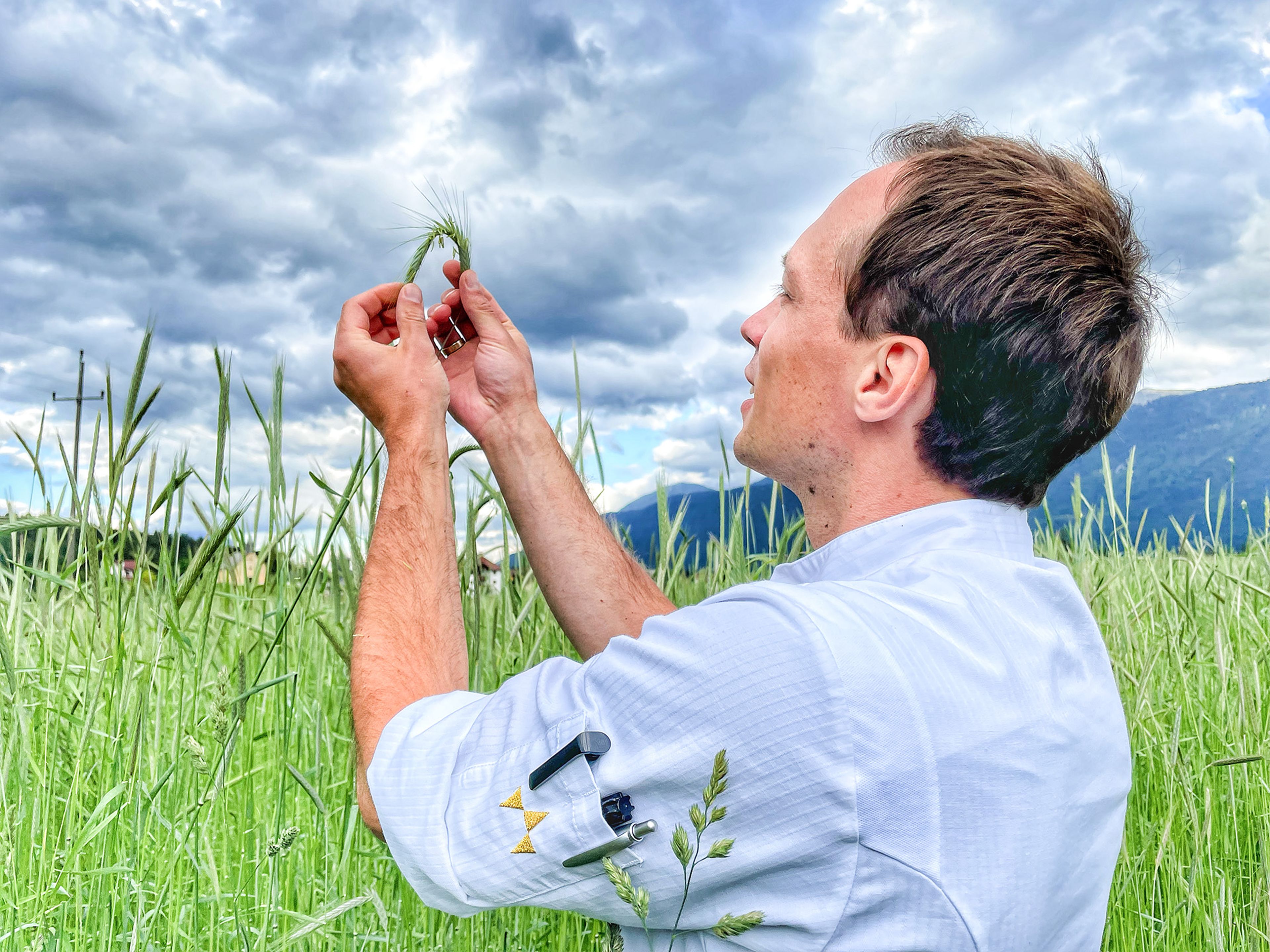Johann Steinwender untersucht einen Weizenhalm auf einem üppigen grünen Feld unter einem bewölkten Himmel.