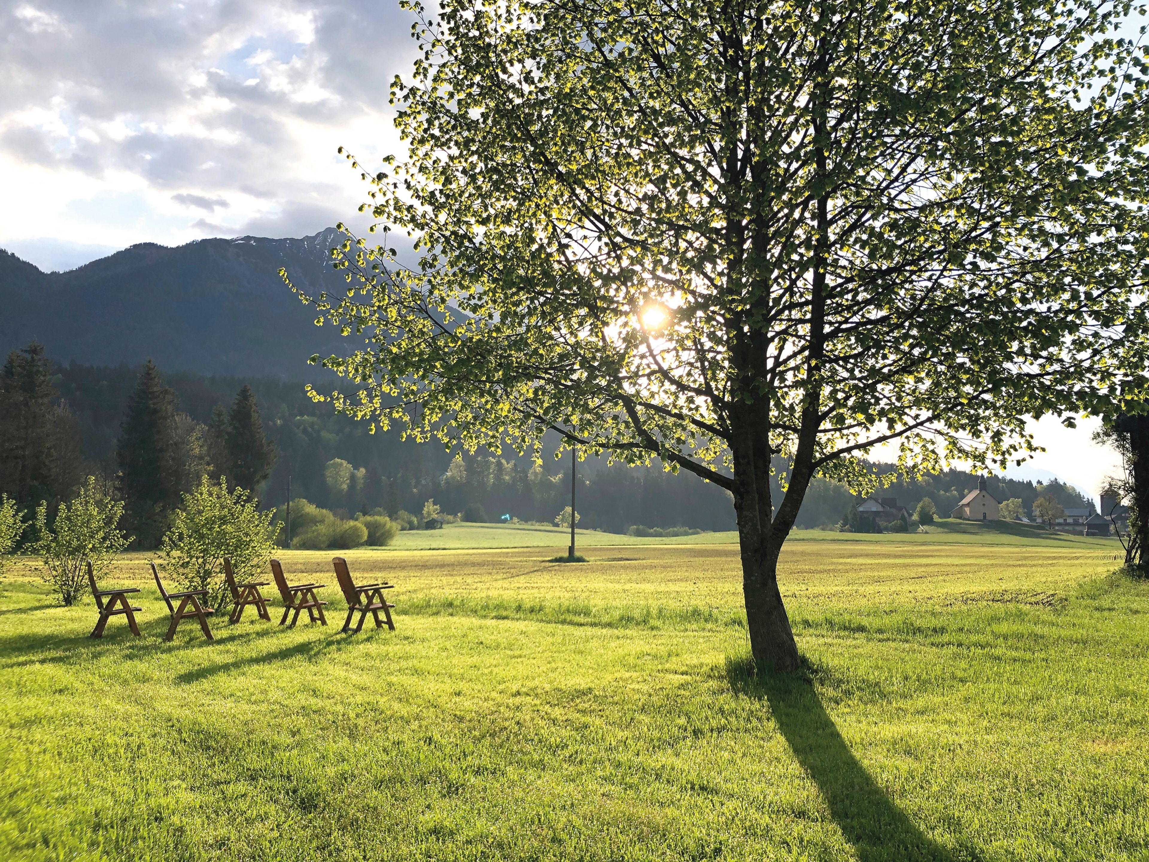 Sonnenbeschienene Landschaft beim Schloss Lerchenhof in Hermagor mit großem Baum, der seinen Schatten auf eine Wiese wirft, umgeben von Holzstühlen.