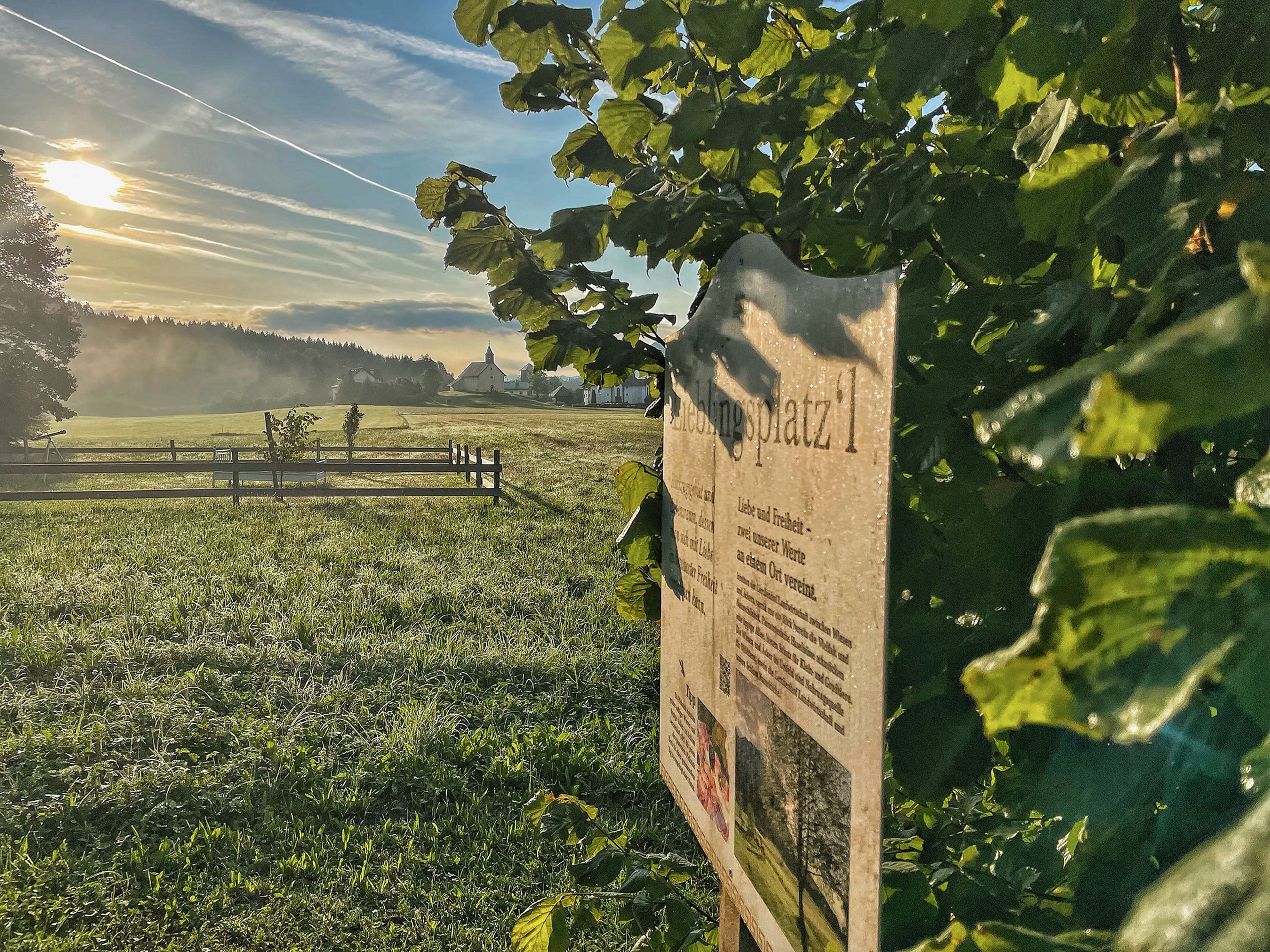 Sonnenbeschienene Blätter verdecken teilweise das Schild "Lieblingsplatzl" mit einer Karte vor einer Kulisse aus Bäumen und einem Feld unter einem klaren blauen Himmel.