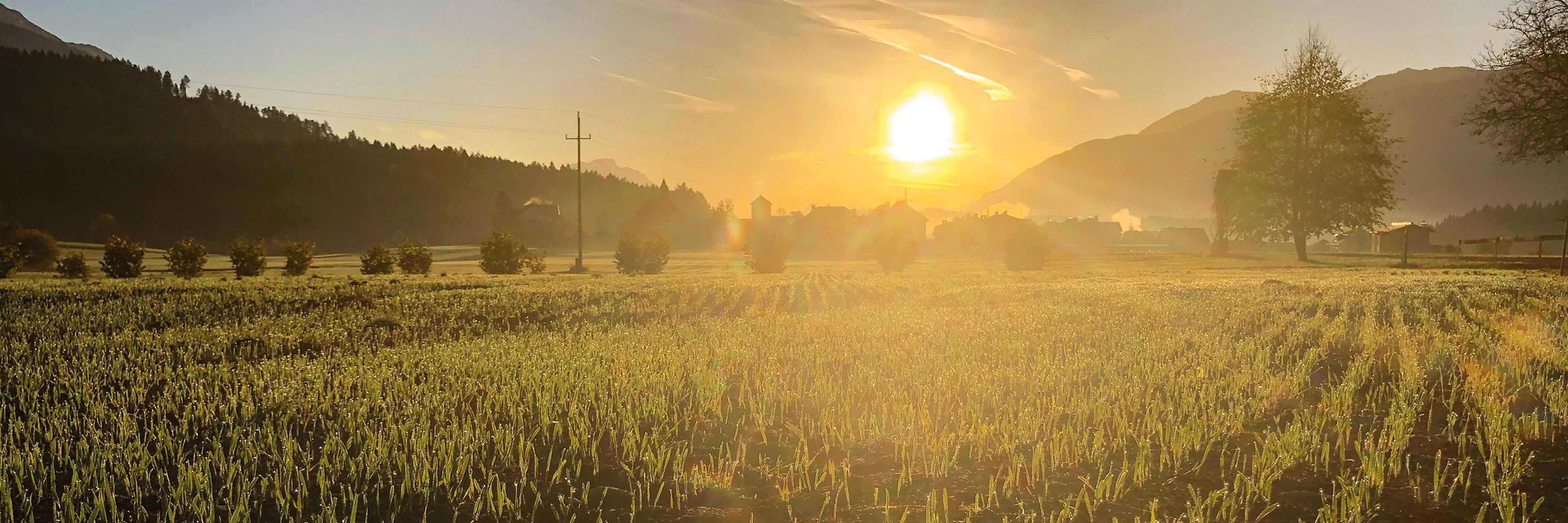 Sonnenaufgang über einem nebelverhangenen Feld mit jungen Feldfrüchten, umgeben von Bergen und Bäumen, unter einem klaren Himmel.
