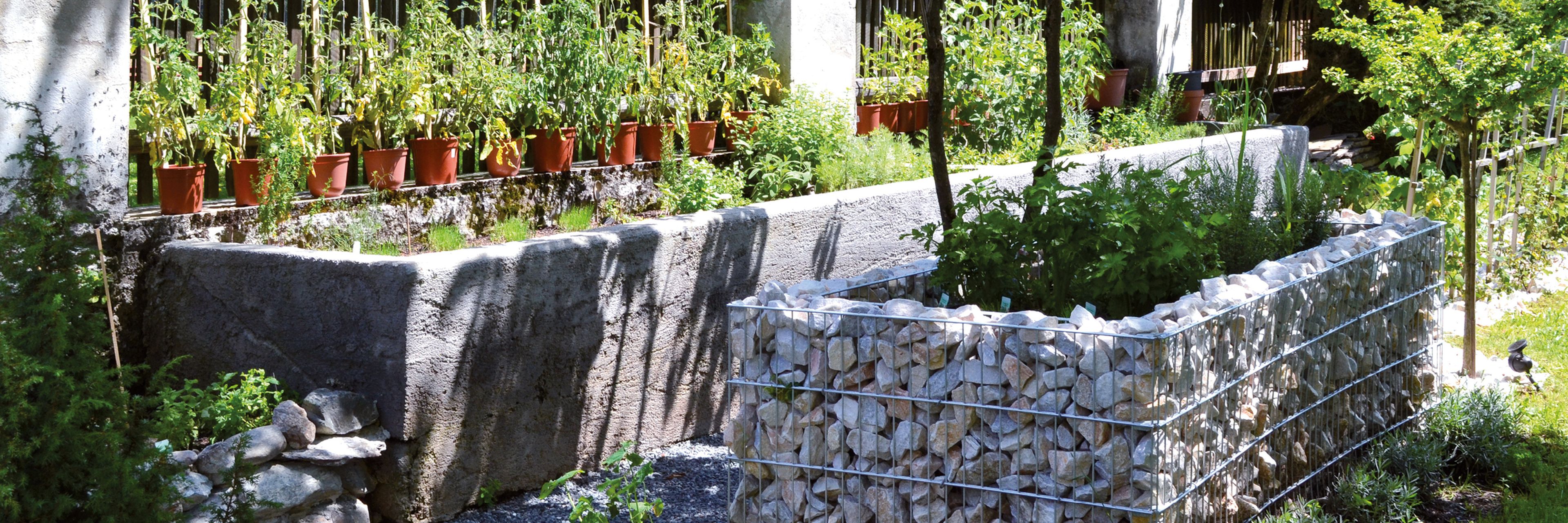 Ein Garten mit steinernen Pflanzkübeln, Topfpflanzen auf einem Sims und verschiedenen Grünpflanzen im Sonnenlicht, umgeben von einem Draht- und Steinzaun.