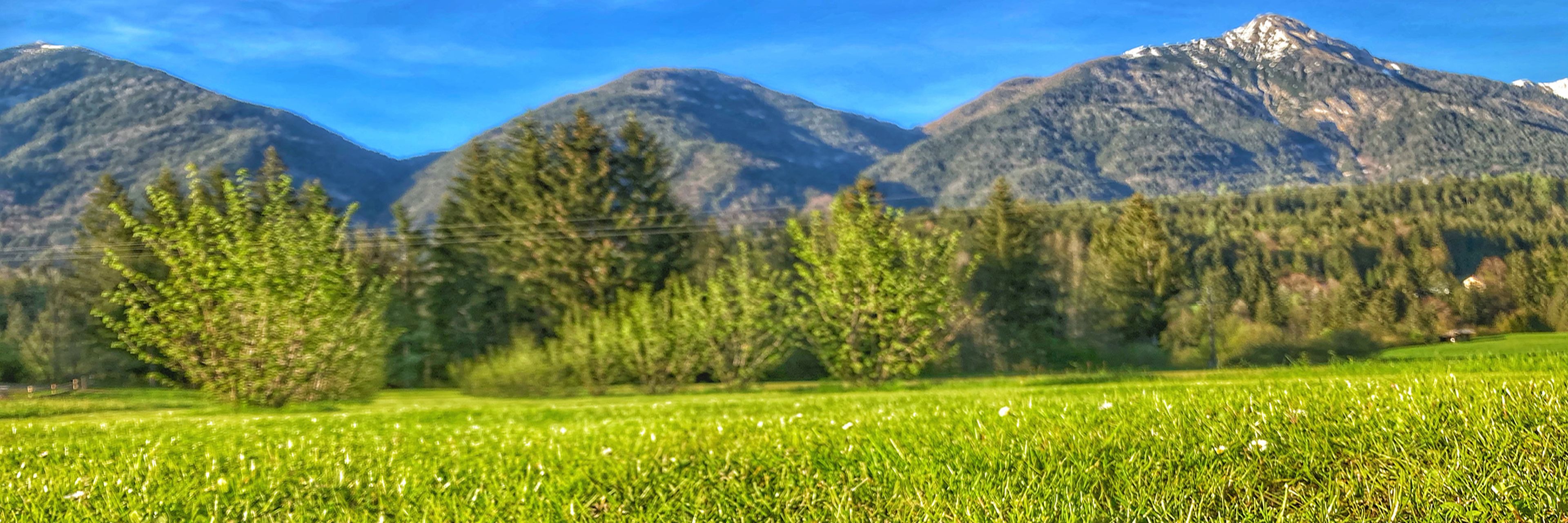 Ein üppiges grünes Feld mit vereinzelten Bäumen vor der Kulisse hoher, schneebedeckter Berge unter einem strahlend blauen Himmel.