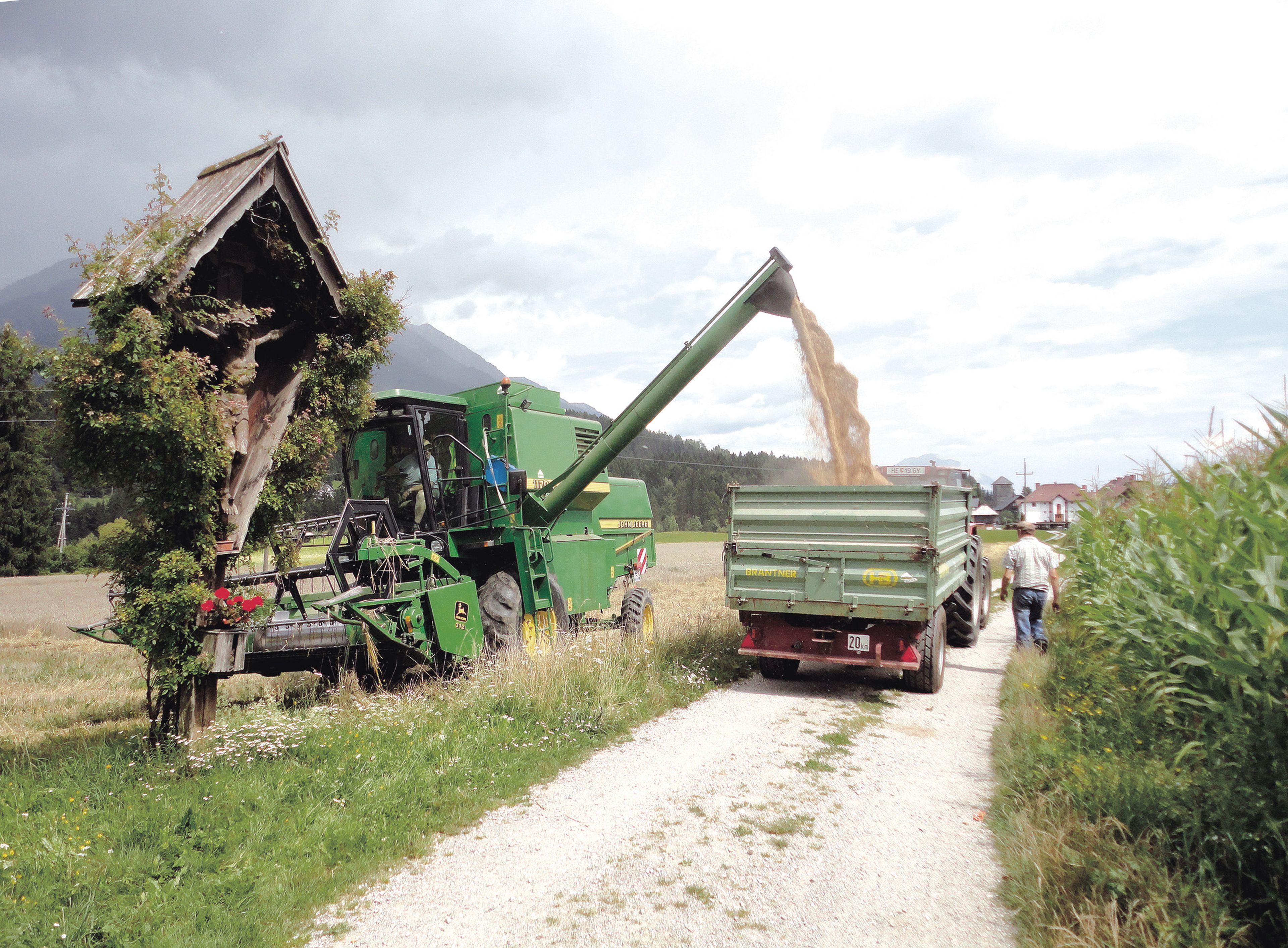 Ein Mähdrescher lädt auf einem Feldweg Getreide in einen Anhänger ab. In der Nähe geht eine Person spazieren, links ist eine Holzkonstruktion zu sehen.