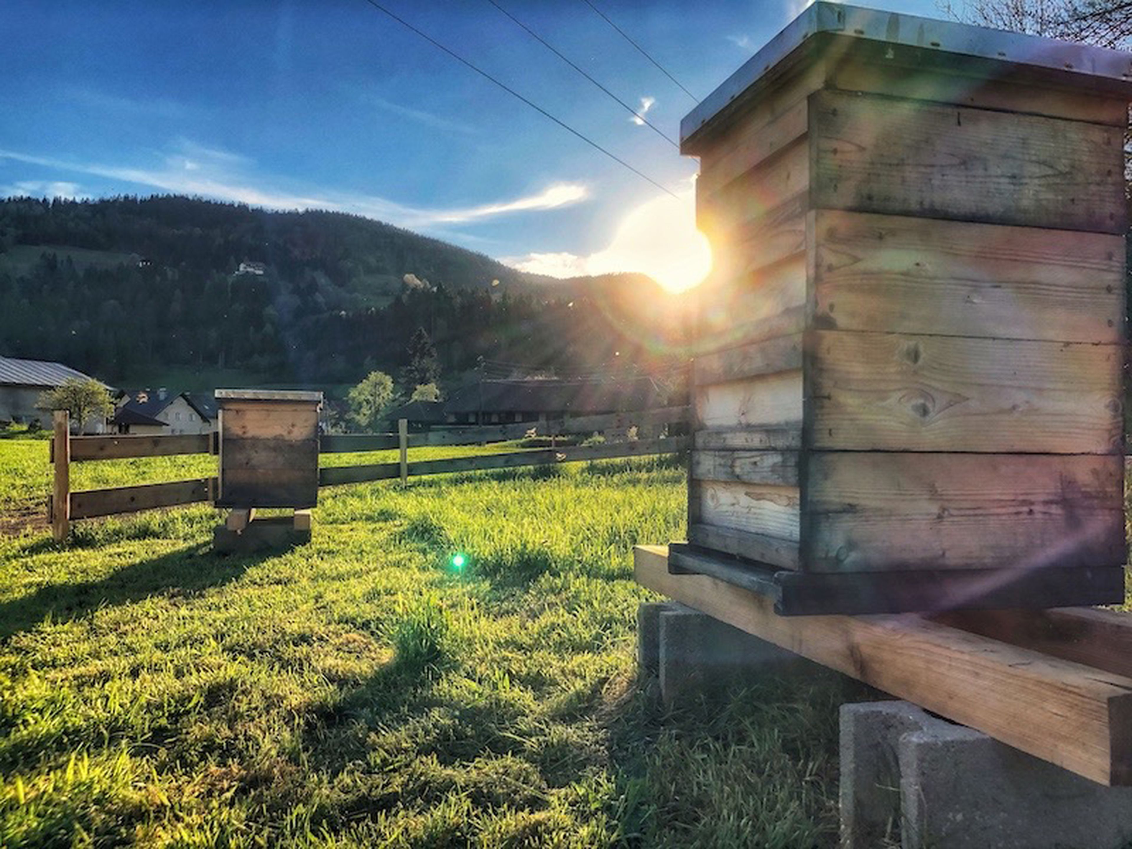 Bienenstock des Anwesens Schloss Lerchenhof. Der Sonnenuntergang im Hintergrund