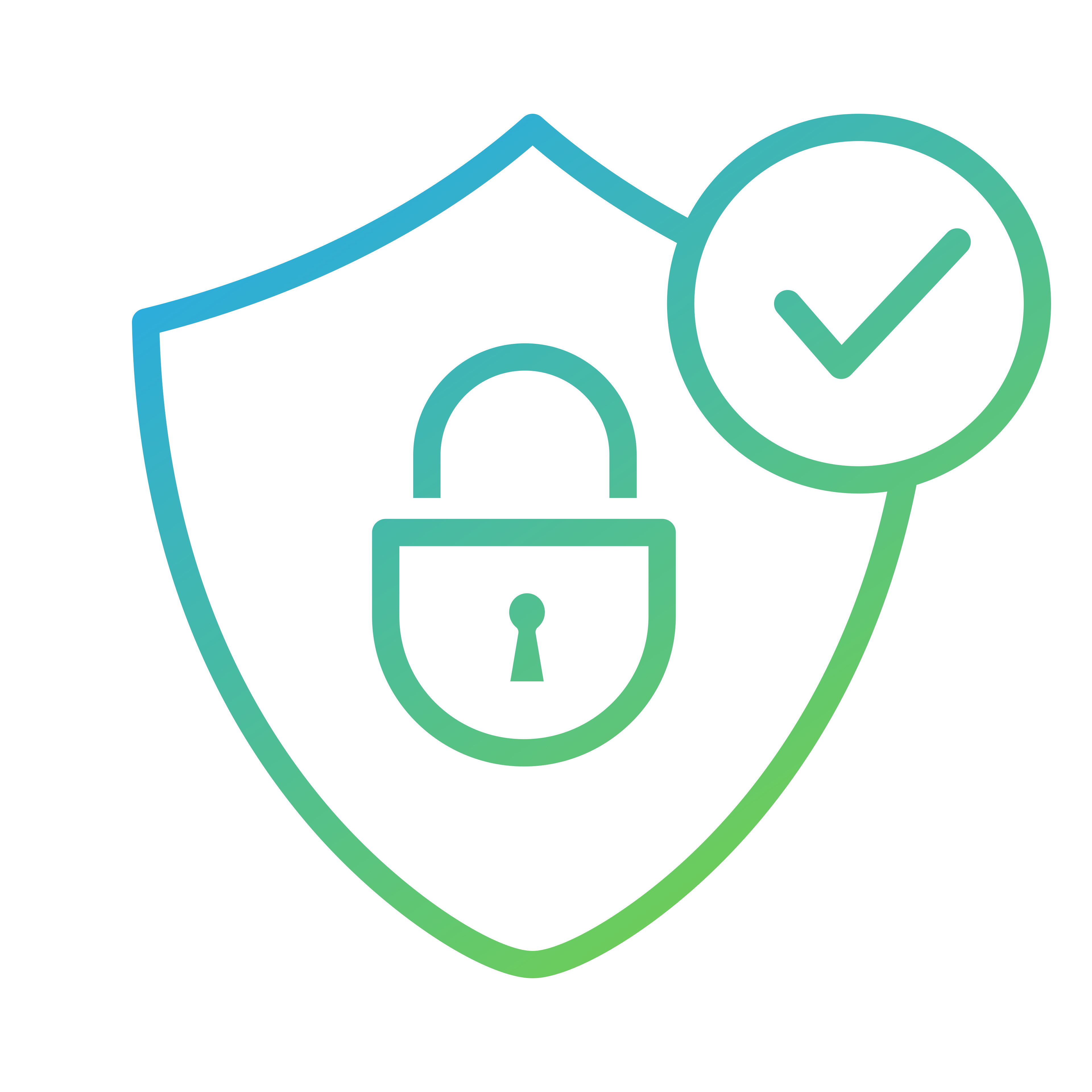 Shield with a lock and checkmark icons