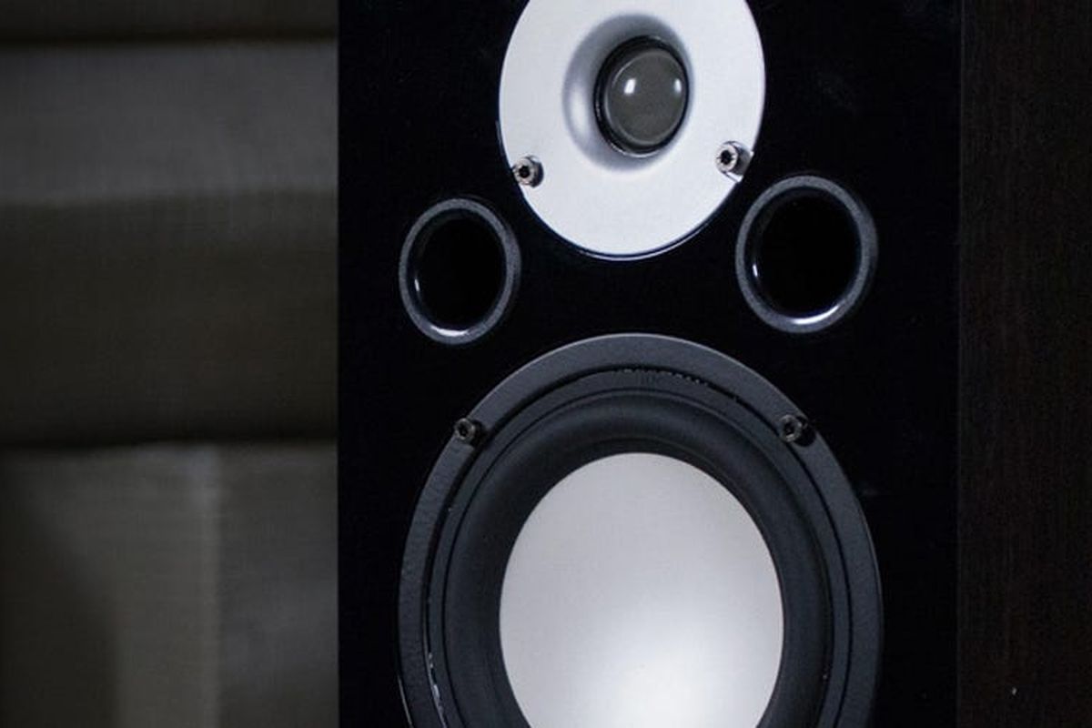 High Performance Two-way Bookshelf Surround Sound Speakers - Dark