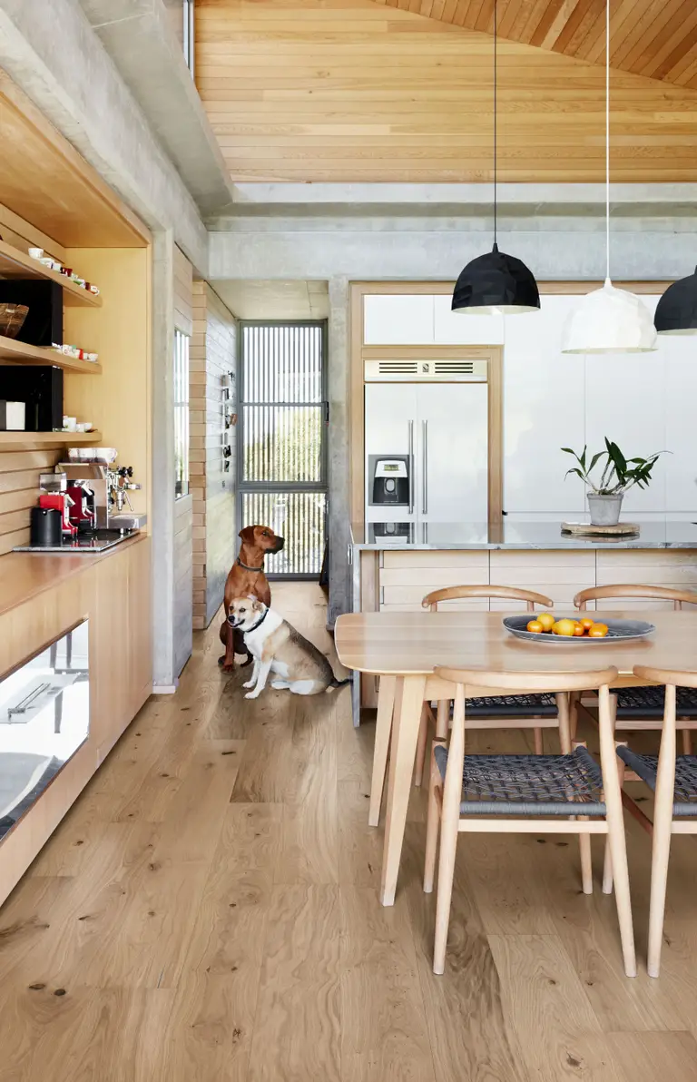 Modern kitchen with wooden floors, light wood dining table, black pendant lights, and two dogs near the fridge. Open shelves and plants are visible.