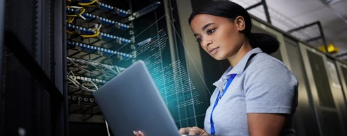 Especialista en gestion de riesgos ti y ciberseguridad