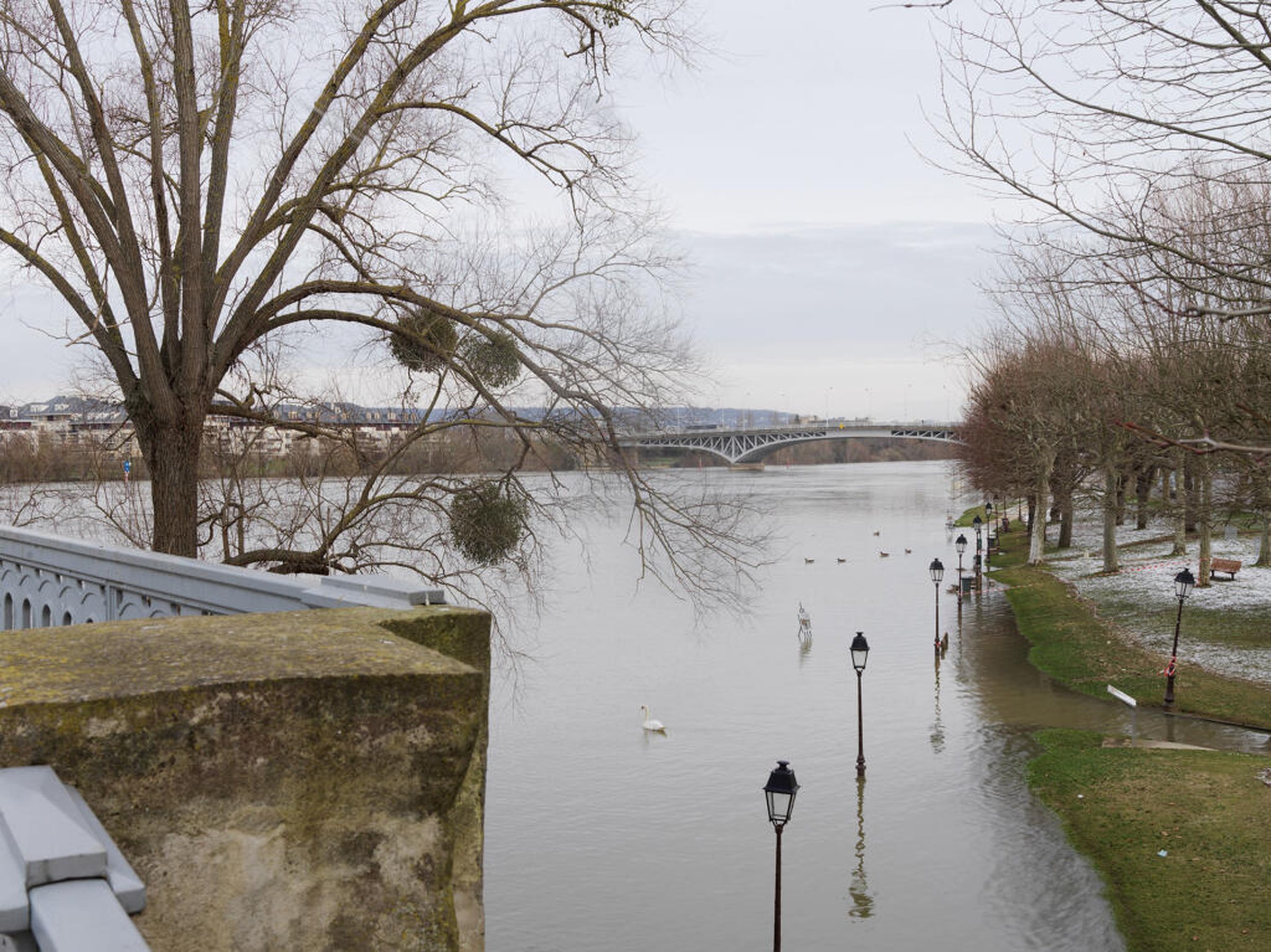A river with ducks and swans, bordered by leafless trees and a snow-dusted path, with a distant bridge under a cloudy sky.