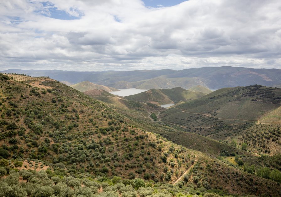 Rolling hills with patches of greenery and a distant lake under a cloudy sky.