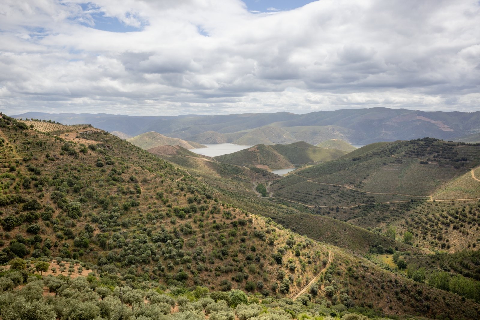 Rolling hills with patches of greenery and a distant lake under a cloudy sky.