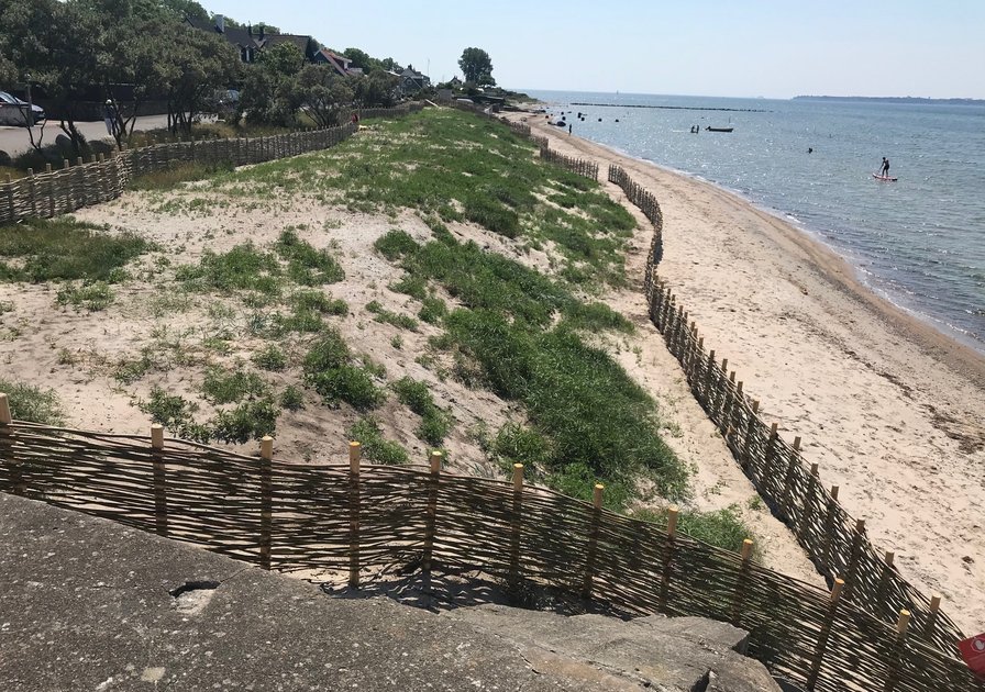 Coastal landscape with sandy beach, green vegetation, and woven fence along the shore. Calm sea and distant paddleboarders under a clear sky.